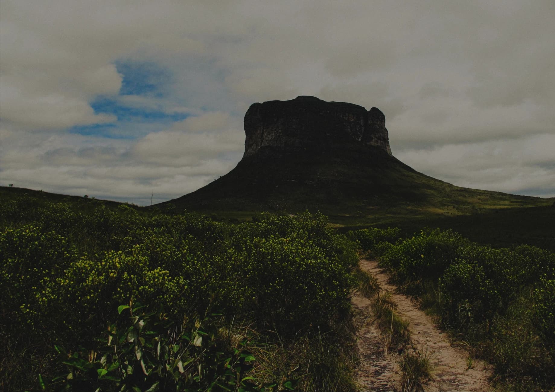 A trail facing the Morro do Pai Inácio